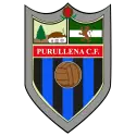 Deifontes VS Purullena CF (2015-11-14)